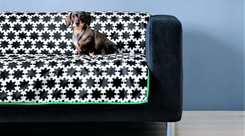 Haustiere bekommen bei IKEA an der Algarve eigene Wohnmöbel